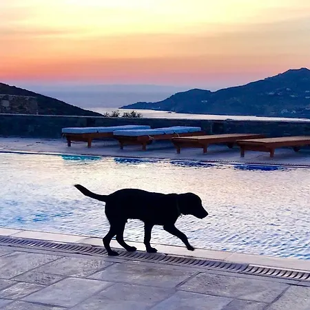 Syros With View And Pool